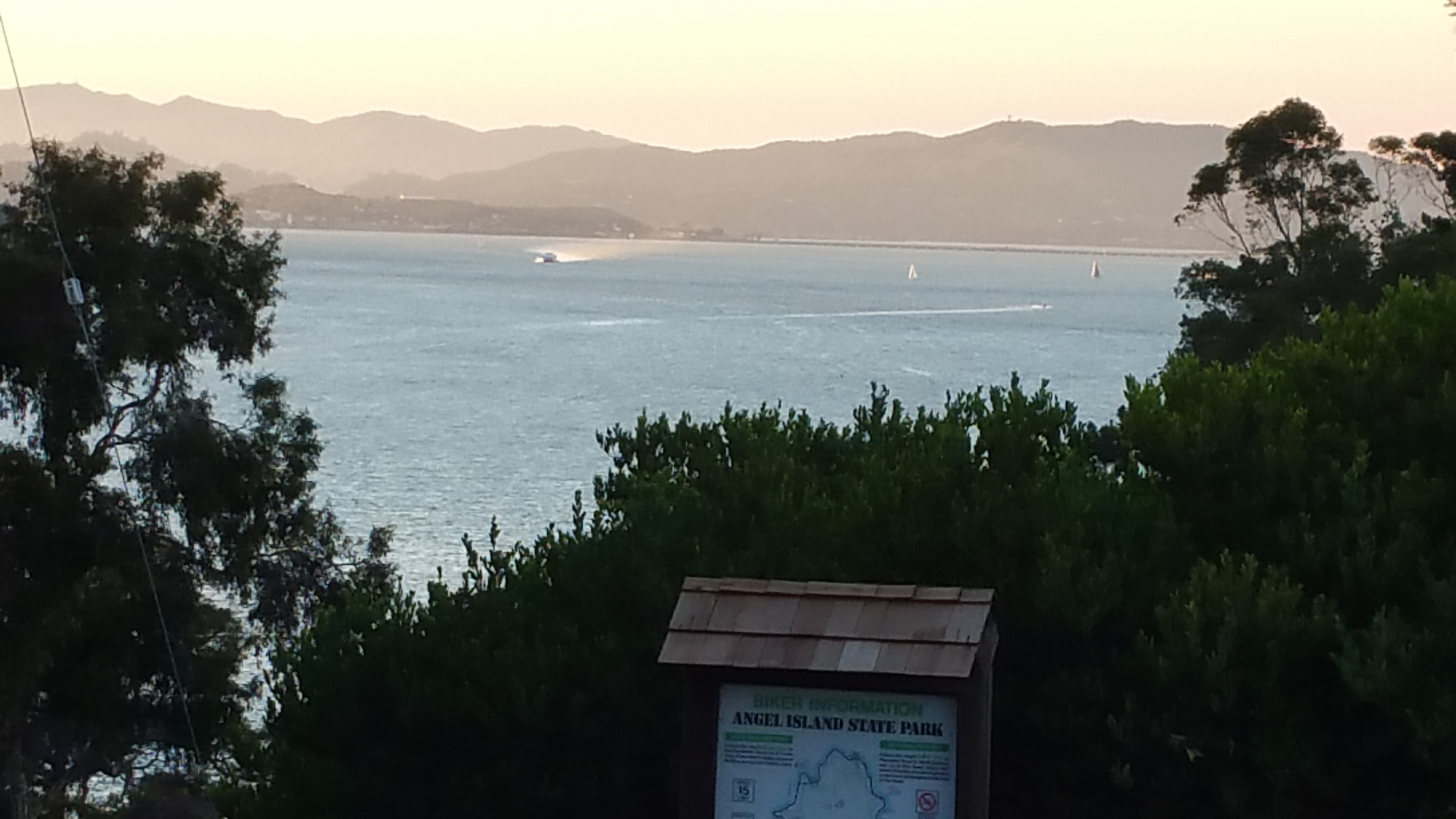 Angel Island 2 Lily Absinthe